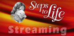 Steps to Life Video Streaming